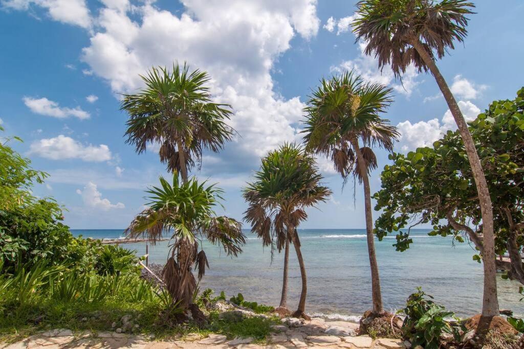 Ground Level Garden Condo At Akumal South By Tao Santamar Exterior photo